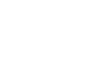 Bosch Car Service